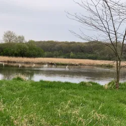 Fox River Grove Marina - Fox River Grove