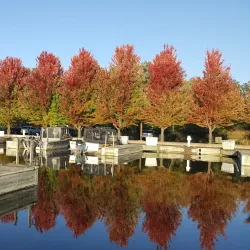 Fox River Grove Marina - Fox River Grove