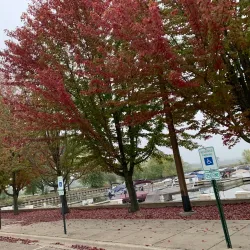 Fox River Grove Marina - Fox River Grove