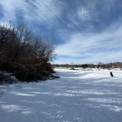 Fox River Grove Park District - Fox River Grove