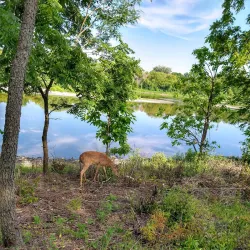Fox River Trail - Fox River Grove
