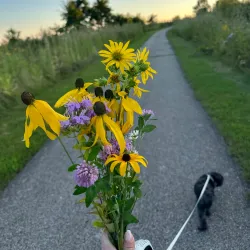 Nearby Algonquin Lakes Park - Fox River Grove