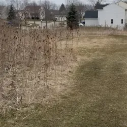 Nearby Algonquin Lakes Park - Fox River Grove