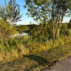 Nearby Algonquin Lakes Park - Fox River Grove