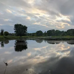 Nippersink Forest Preserve - Fox River Grove