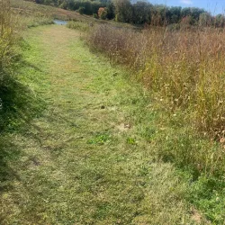 Nippersink Forest Preserve - Fox River Grove