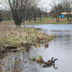 Nippersink Forest Preserve - Fox River Grove