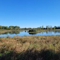 Nippersink Forest Preserve - Fox River Grove