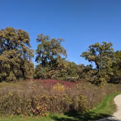 Nippersink Forest Preserve - Fox River Grove