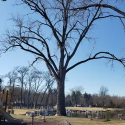 Pioneer Park - Fox River Grove