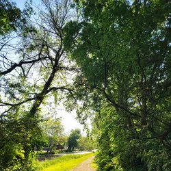 Illinois and Michigan Canal Trail (nearby) - Franklin Park