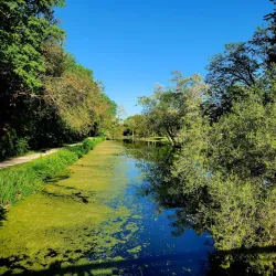Illinois and Michigan Canal Trail (nearby) - Franklin Park