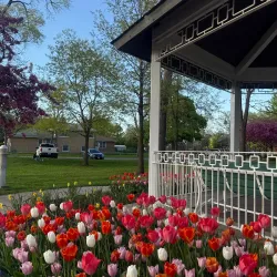 North Park - Franklin Park