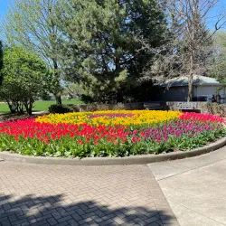 North Park - Franklin Park