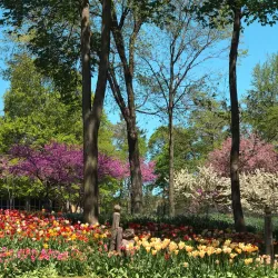 Downtown Geneva - Geneva