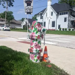 Downtown Geneva - Geneva