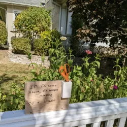 Downtown Geneva - Geneva