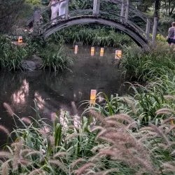 Fabyan Forest Preserve and Japanese Garden - Geneva