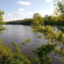 Haines Park - Geneva