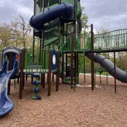 Hamilton City Park - Hamilton