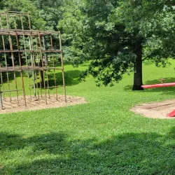 Hamilton City Park - Hamilton