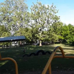 Hamilton City Park - Hamilton