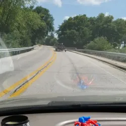 Hamilton Marina - Hamilton