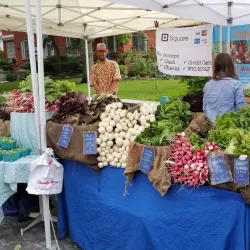 Local Farmers Market - Hamilton