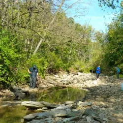 Mississippi River - Hamilton