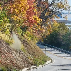 Mississippi River - Hamilton