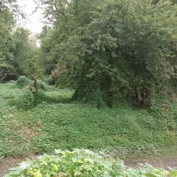 Riverfront Walking Path - Hamilton