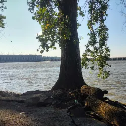 Riverfront Walking Path - Hamilton