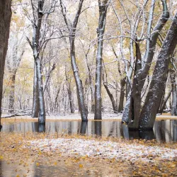 Riverfront Walking Path - Hamilton