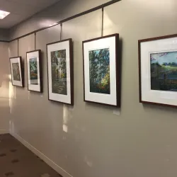 Hinsdale Public Library - Hinsdale