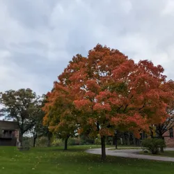 Memorial Park - Hinsdale