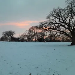 Memorial Park - Hinsdale