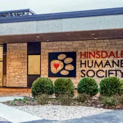 The Hinsdale Humane Society - Hinsdale