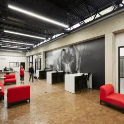 The Hinsdale Humane Society - Hinsdale