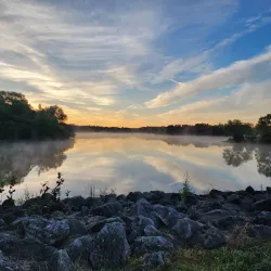 Busse Woods Forest Preserve - Hoffman Estates