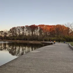 Busse Woods Forest Preserve - Hoffman Estates
