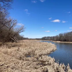 Busse Woods Forest Preserve - Hoffman Estates