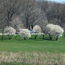 Busse Woods Forest Preserve - Hoffman Estates