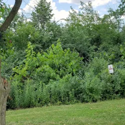 Hoffman Estates Park District - Hoffman Estates