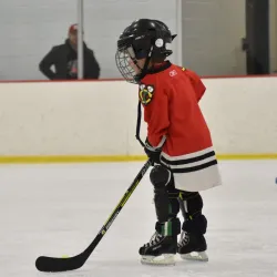 Hoffman Estates Park District - Hoffman Estates