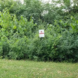 Hoffman Estates Park District - Hoffman Estates