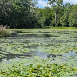 Spring Valley Nature Center and Heritage Farm - Hoffman Estates