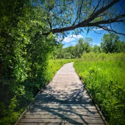 Spring Valley Nature Center and Heritage Farm - Hoffman Estates