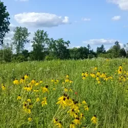 Spring Valley Nature Center and Heritage Farm - Hoffman Estates