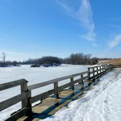 Lake Renwick Preserve - Joliet