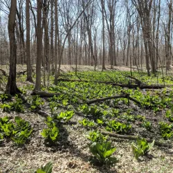 Pilcher Park Nature Center - Joliet
